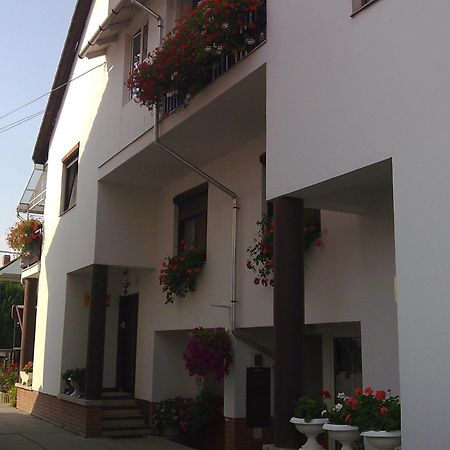 Anna Vendeghaz Bed & Breakfast Seghedin Exterior foto