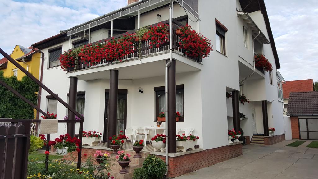 Anna Vendeghaz Bed & Breakfast Seghedin Exterior foto