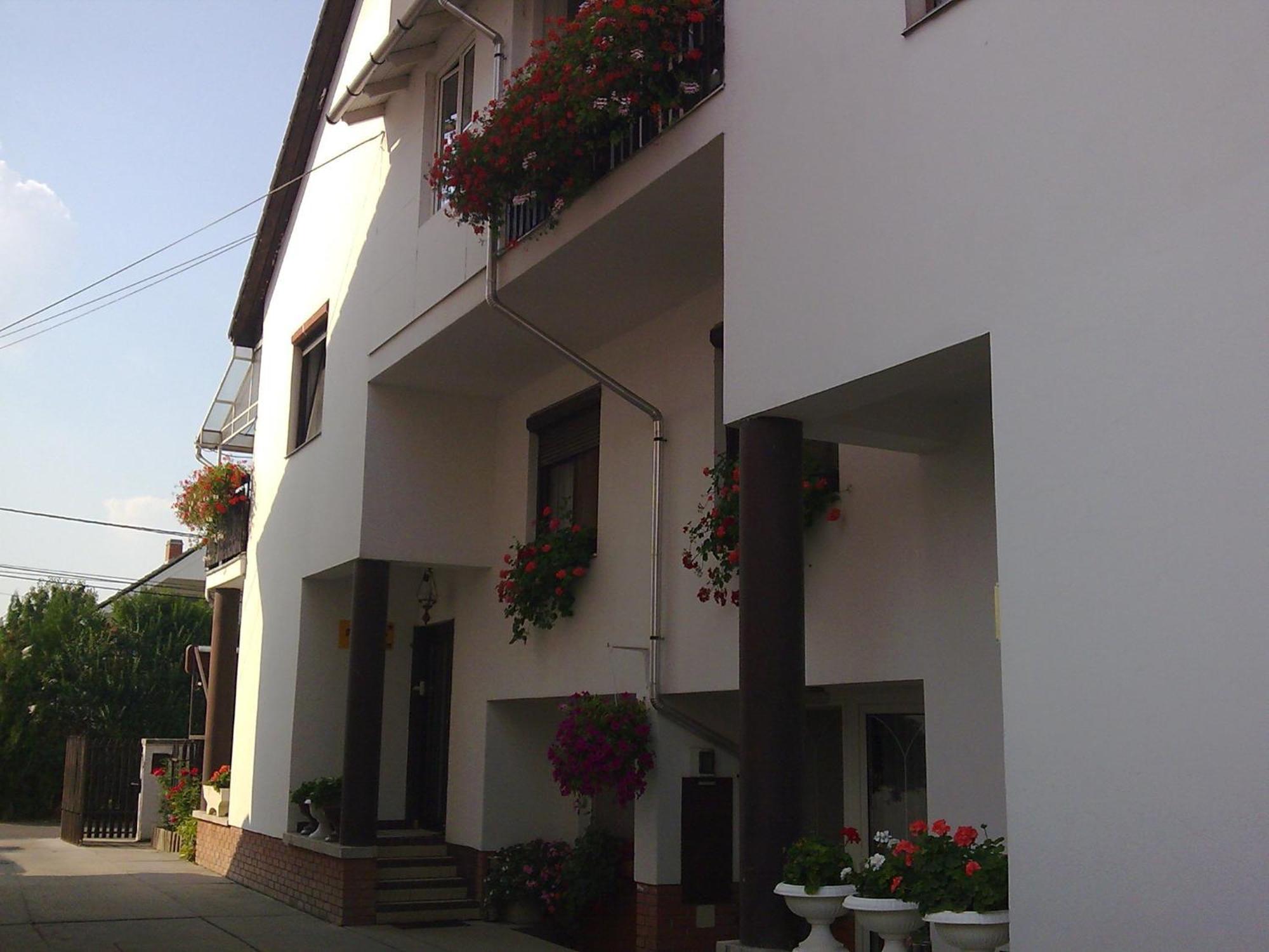 Anna Vendeghaz Bed & Breakfast Seghedin Exterior foto